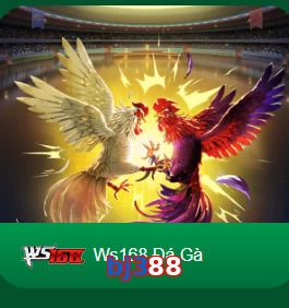 bj388
